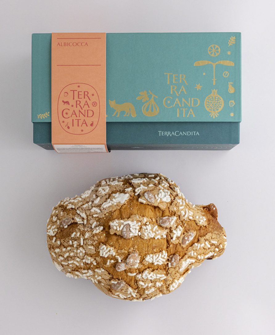 Colomba Artigianale all'Albicocca