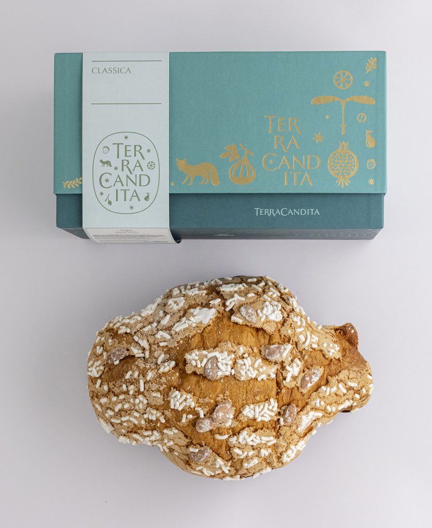 Colomba Artigianale Classica