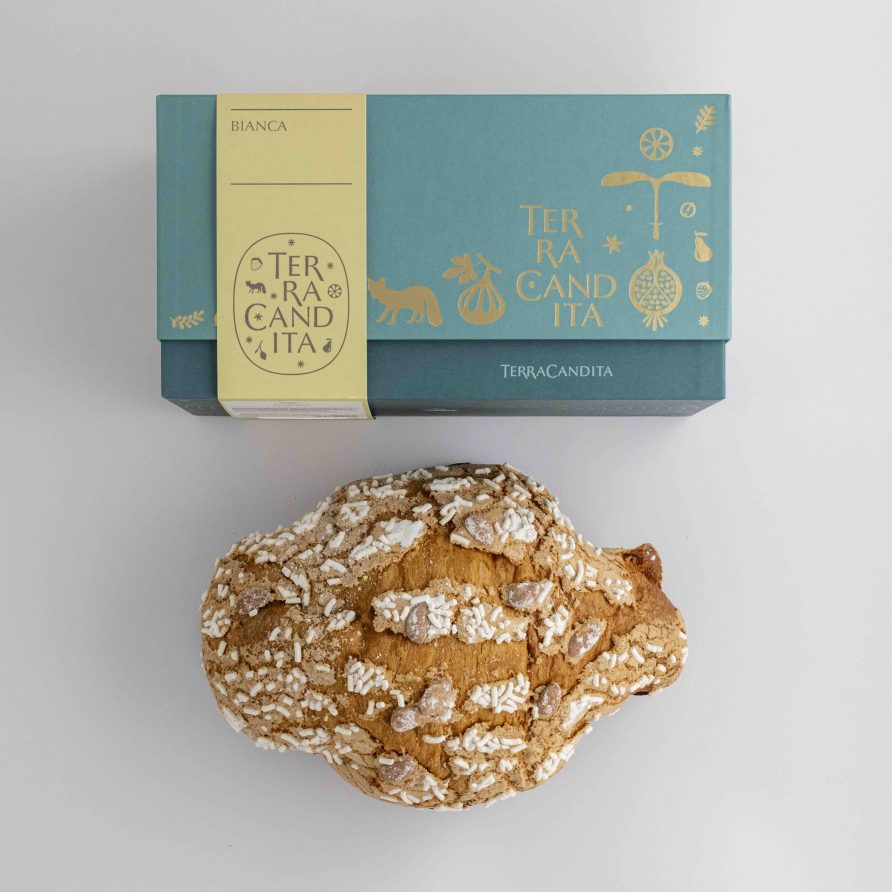 Colomba Artigianale Bianca