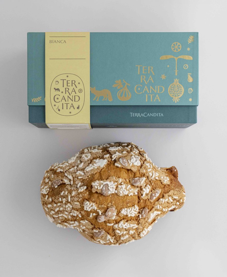 Colomba  Artigianale Bianca